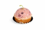Yoghurt bosvruchten bavarois
